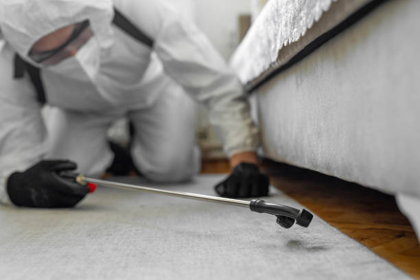 Professional Bed Bug Control technician working in Shelby County County, KY